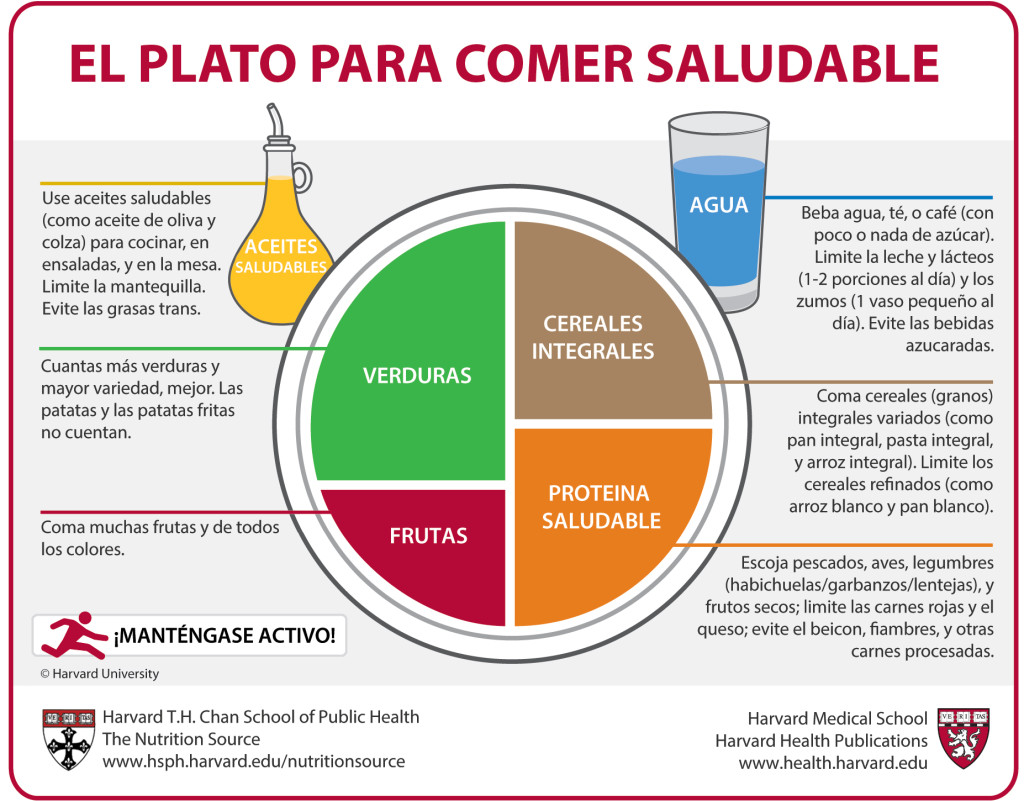 Método del plato de Harvard